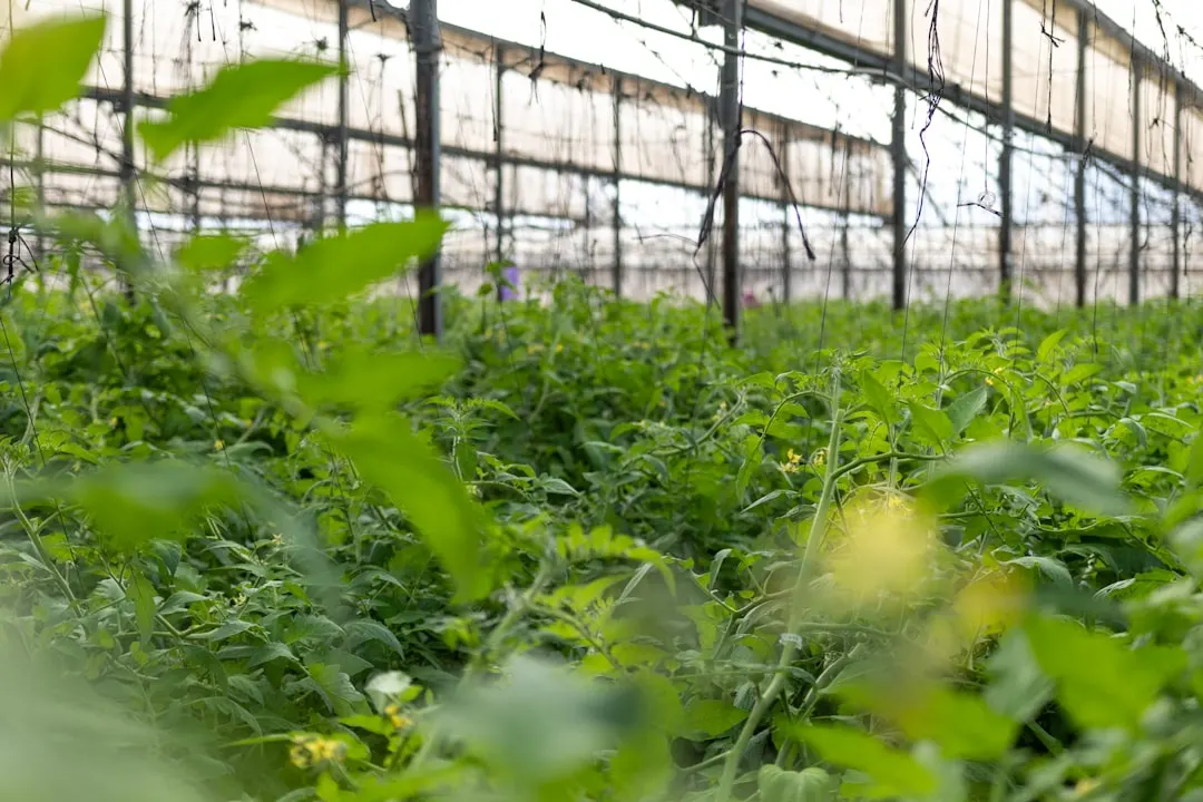 科�研发服务对比：贵州创达维科技与西南地区企业技术优势分析