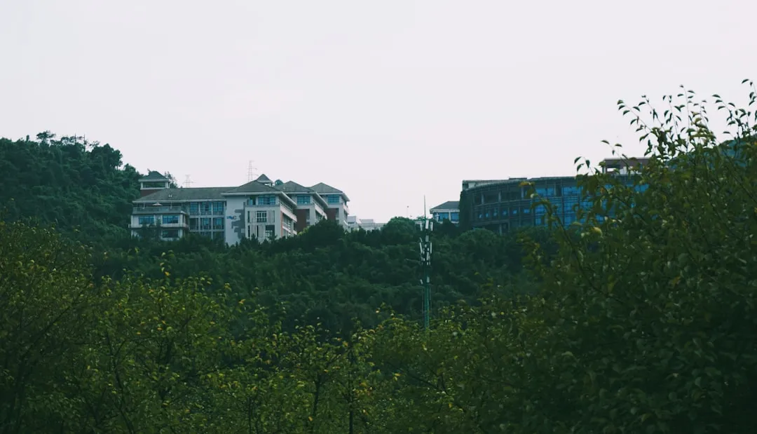 贵州创达维科技：企业数字化平台建设的技术服务路径解析